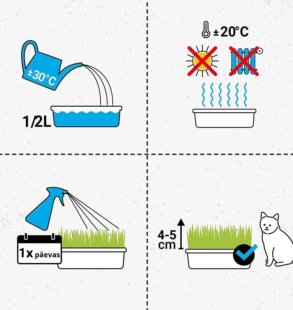 Трава для котів GimCat Soft Gras 100г